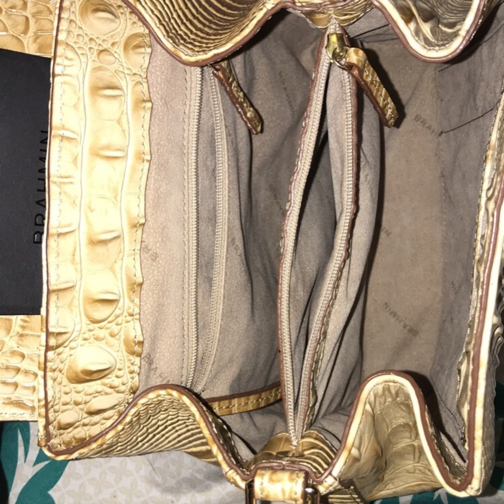 Brahmin - Picture 4 of 5